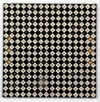 DIGI-DOT Panel 16x16 HD mit 256 x Digital-LEDs